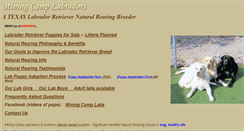 Desktop Screenshot of miningcamplabs.com